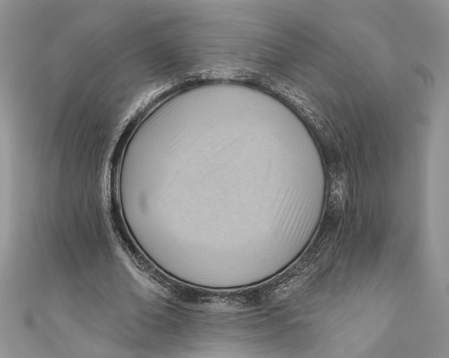 X0000111040678200907161345