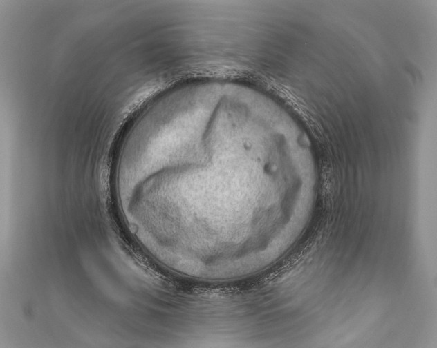 X0000111040679200907161345