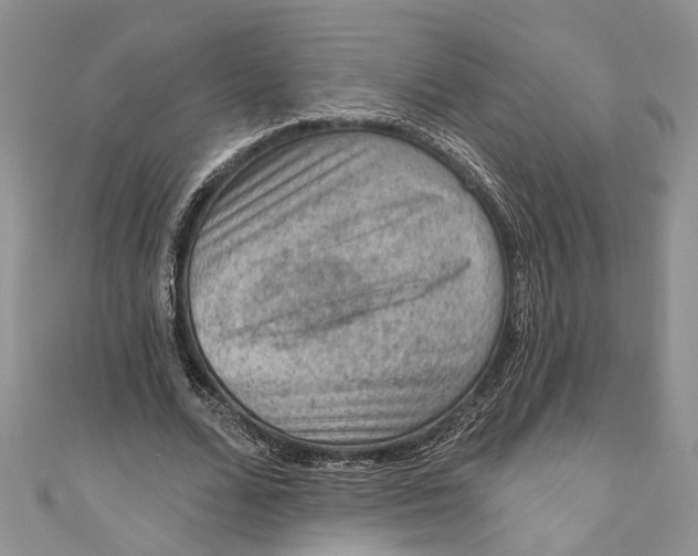 X0000111040680200907161345