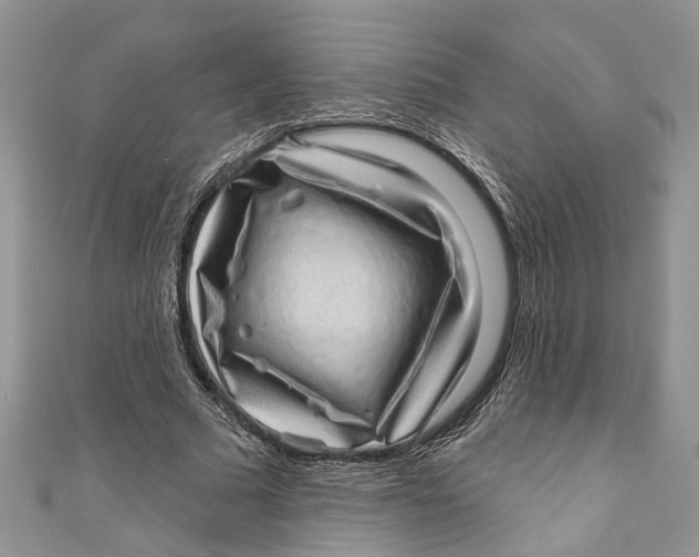 X0000111040681200907161345