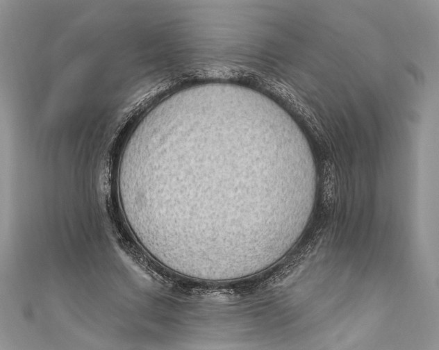 X0000111040683200907161345