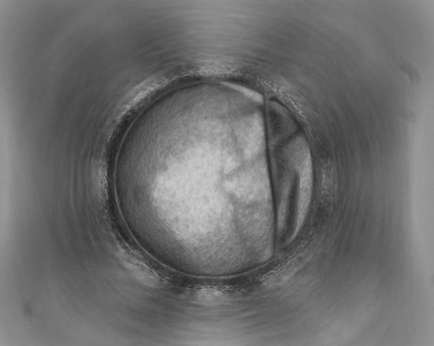 X0000111040684200907161345