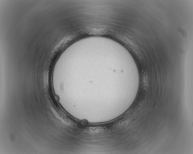 X0000111040686200907161345