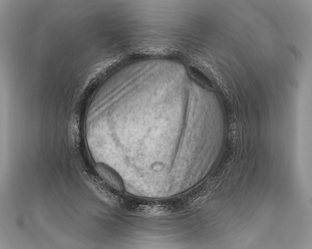 X0000111040688200907161345