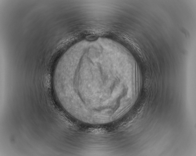 X0000111040689200907161345