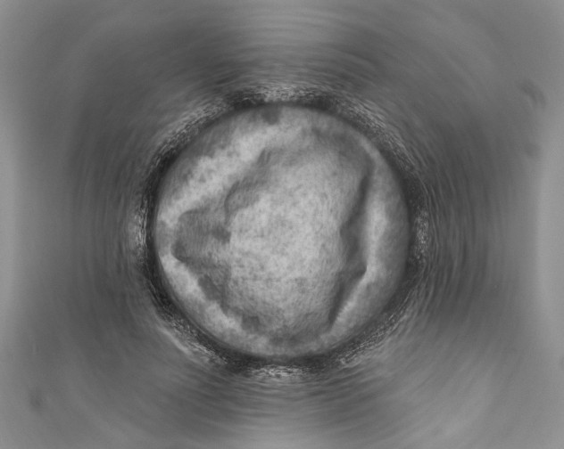 X0000111040691200907161345