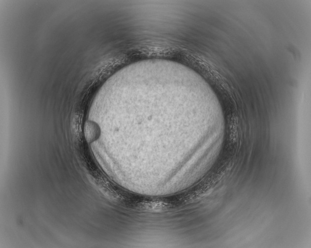 X0000111040695200907161345