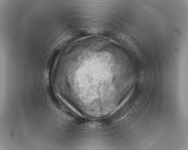 X0000111040696200907161345