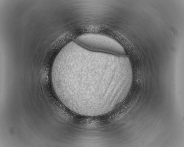 X0000111040697200907161345