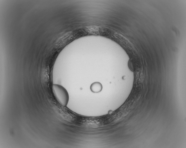 X0000111040702200907161345