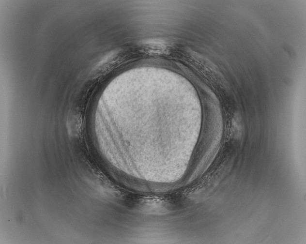 X0000111040704200907161345