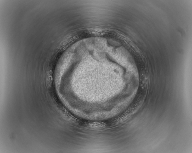 X0000111040707200907161345