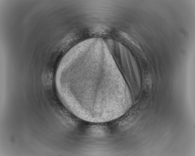 X0000111040708200907161345