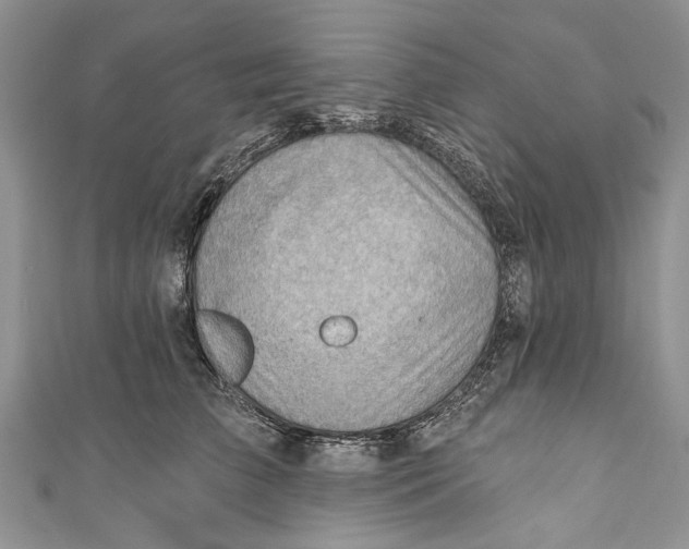 X0000111040709200907161344