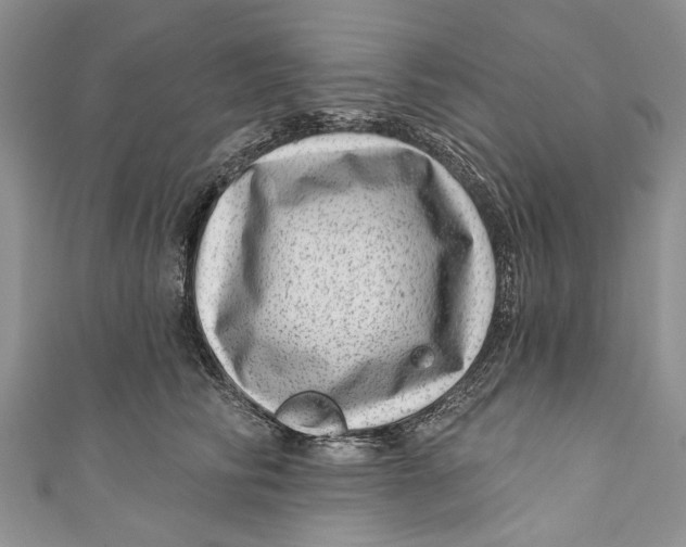 X0000111040710200907161344