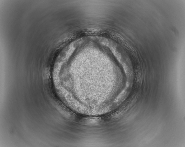 X0000111040711200907161344