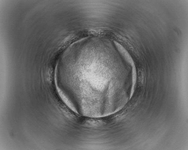 X0000111040712200907161344