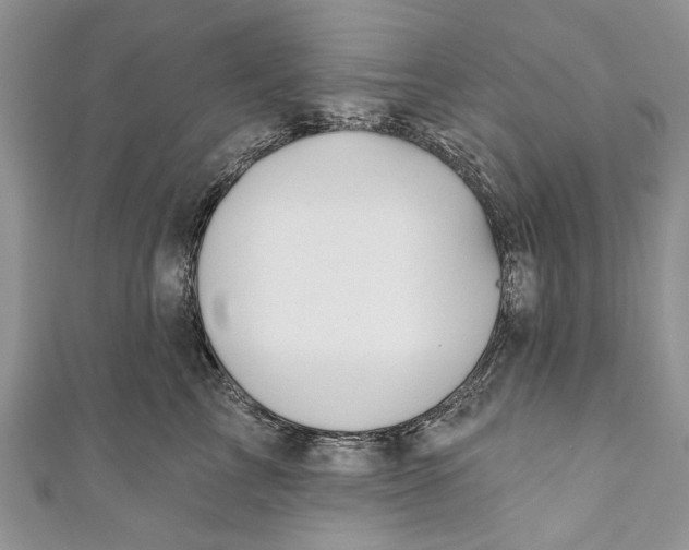 X0000111040713200907161344