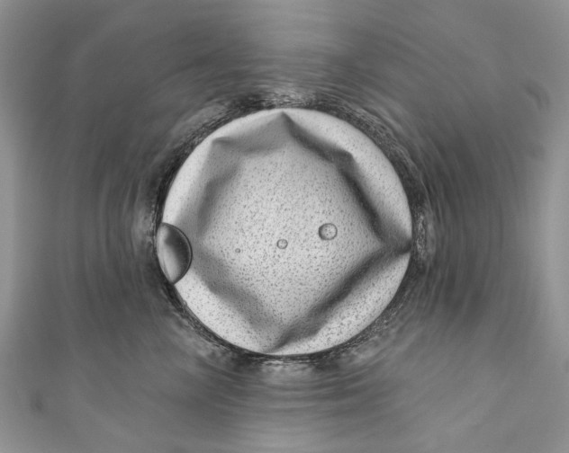 X0000111040714200907161344