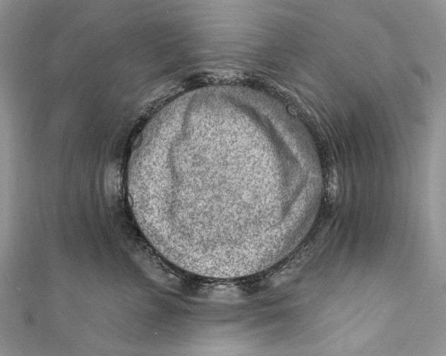 X0000111040715200907161344