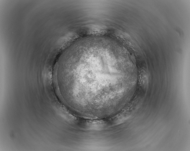 X0000111040716200907161344