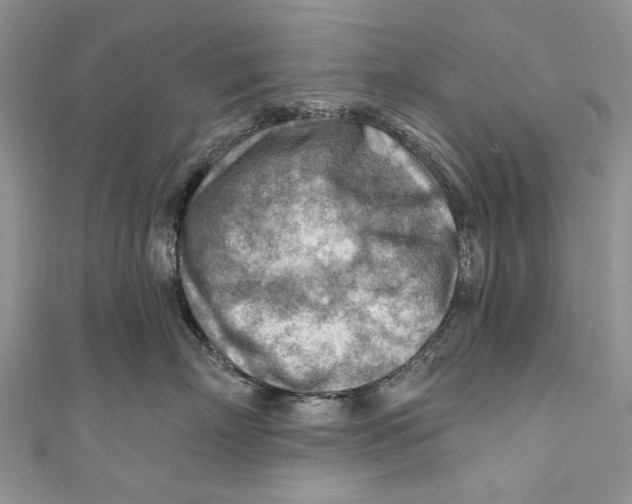 X0000111040718200907161344