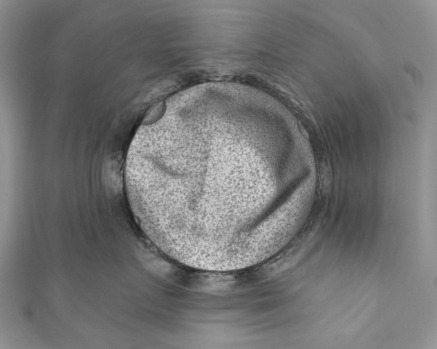 X0000111040719200907161344