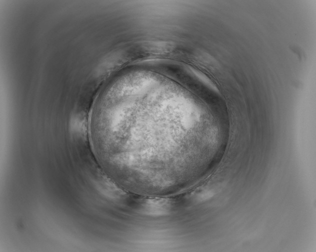 X0000111040720200907161344