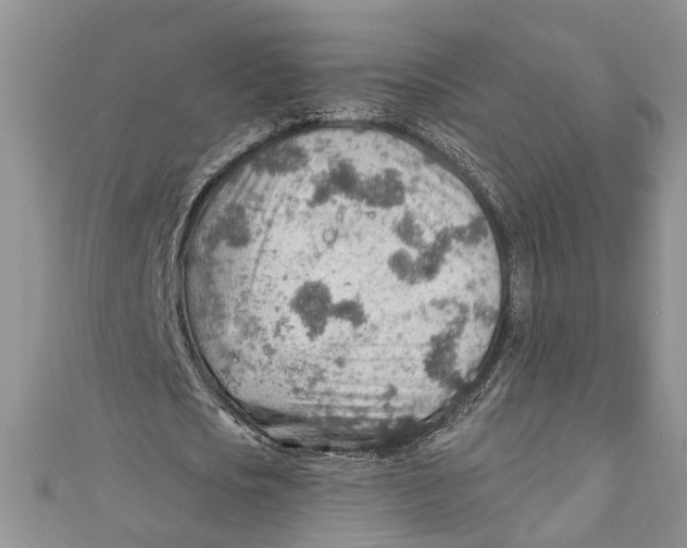 X0000111040721200907161344