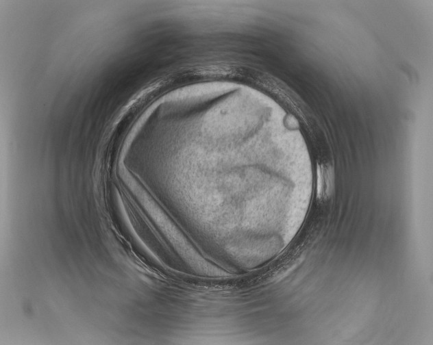 X0000111040723200907161344