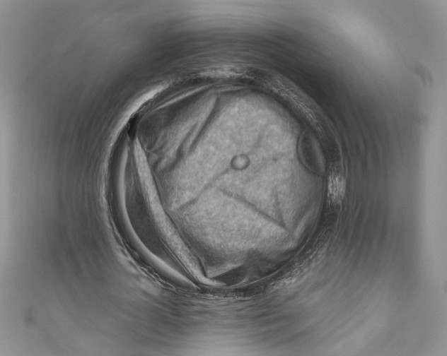 X0000111040724200907161344