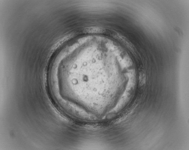 X0000111040725200907161344