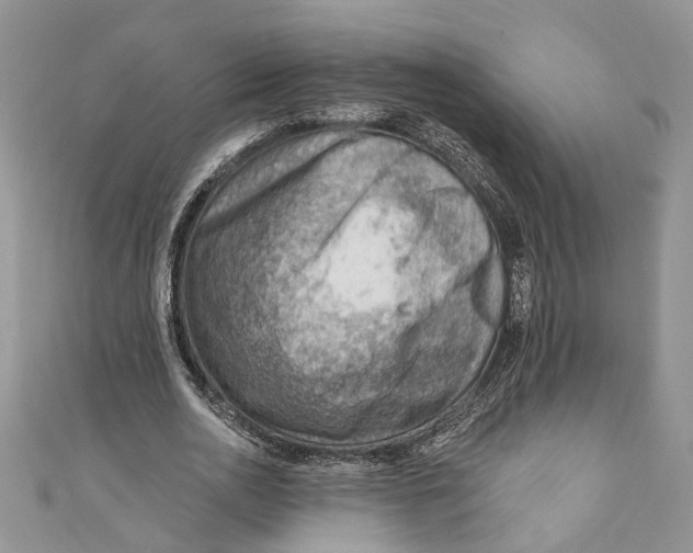 X0000111040726200907161344