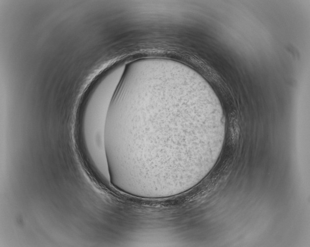 X0000111040728200907161344