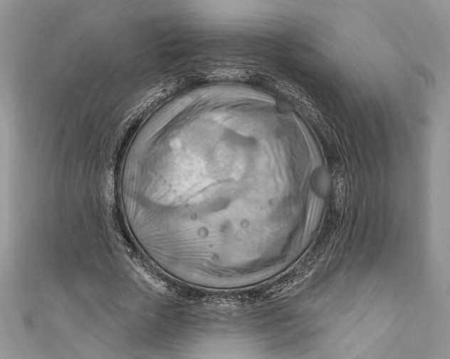 X0000111040729200907161344