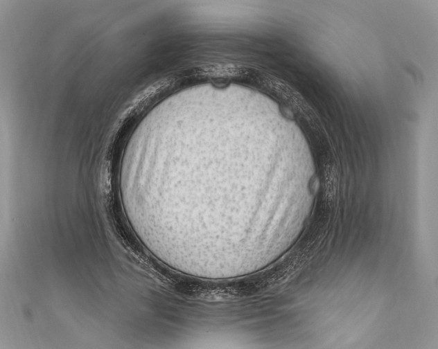 X0000111040731200907161344