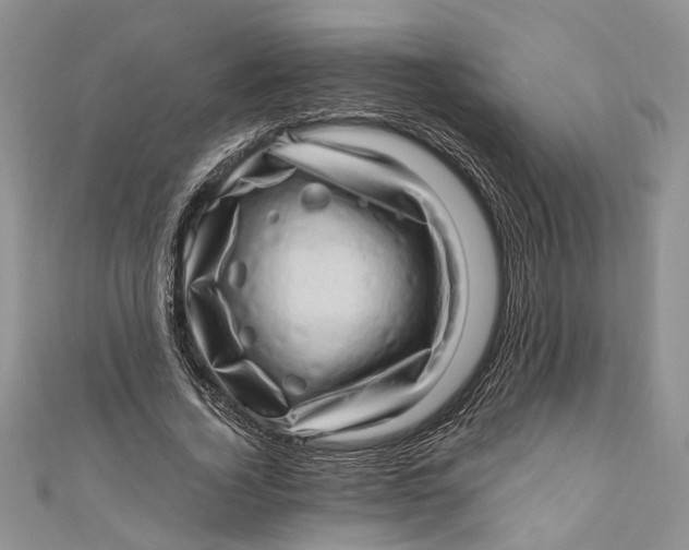 X0000111040732200907161344