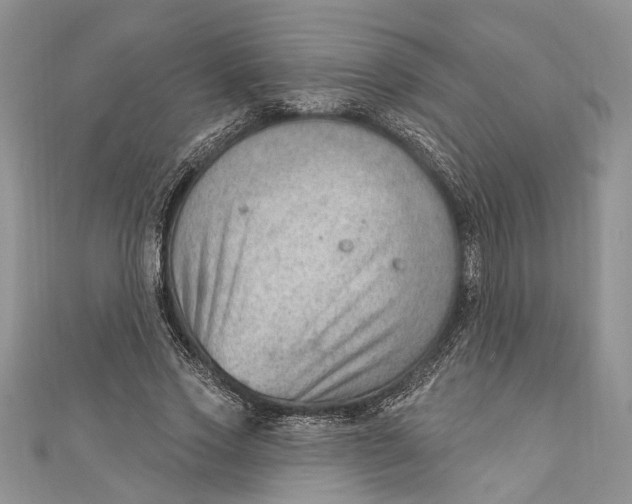 X0000111040733200907161344