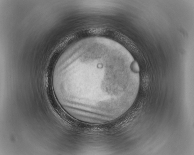 X0000111040734200907161344