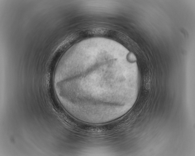 X0000111040735200907161344