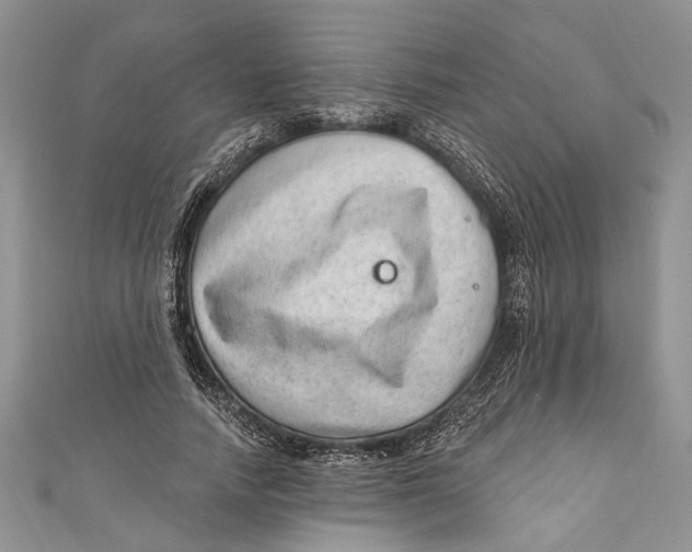 X0000111040738200907161344