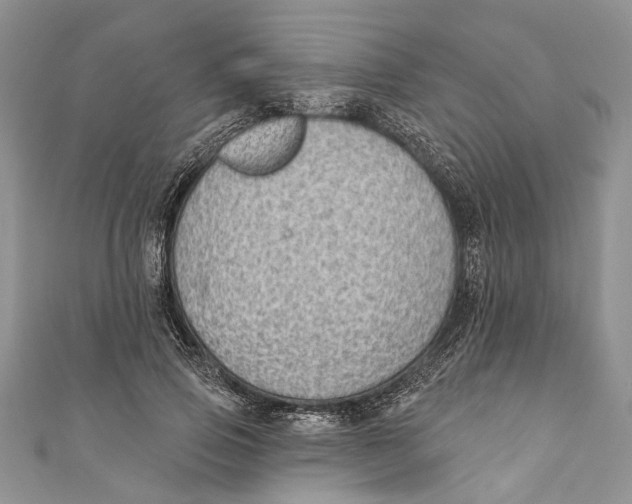 X0000111040741200907161344