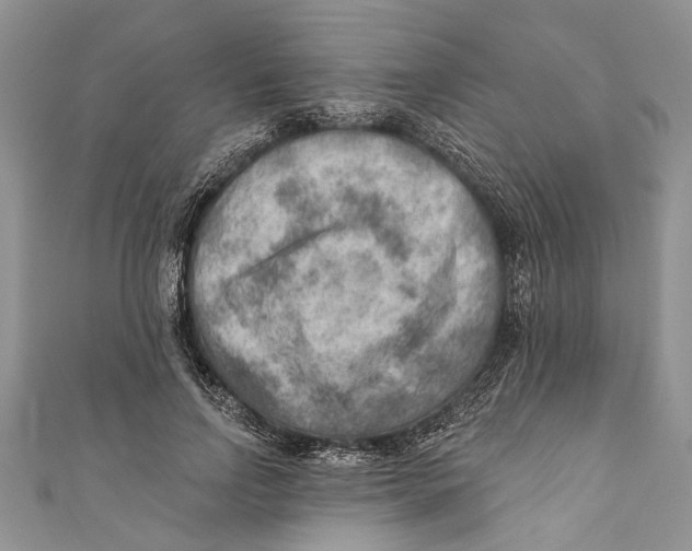 X0000111040742200907161344