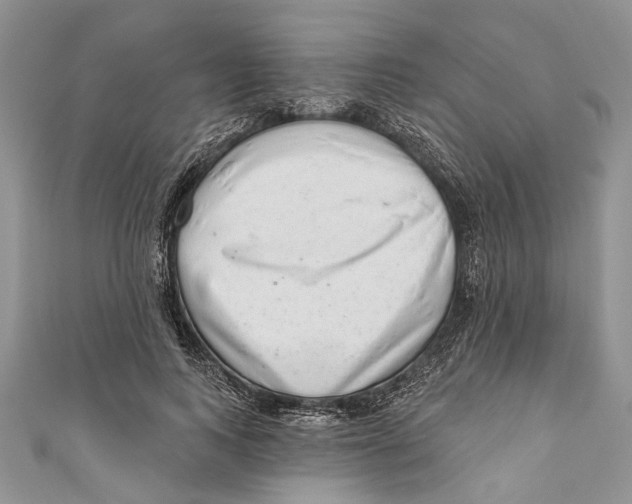 X0000111040743200907161344