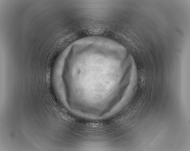 X0000111040745200907161344