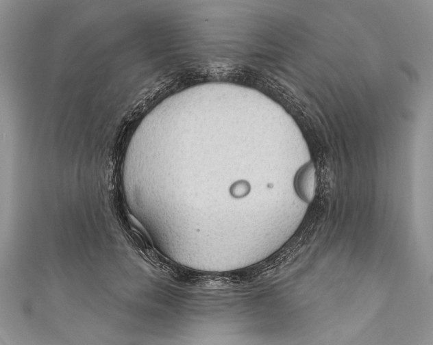 X0000111040750200907161344