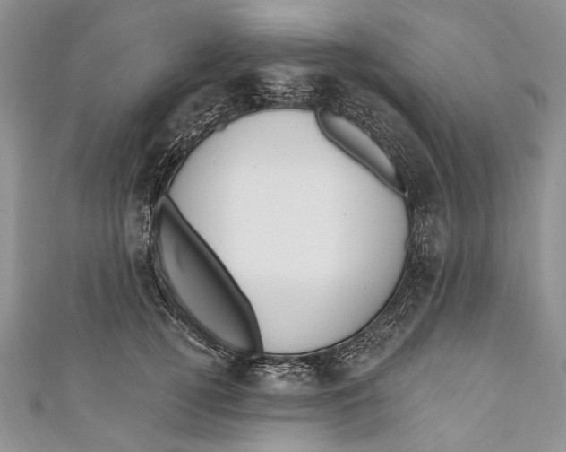 X0000111040752200907161344