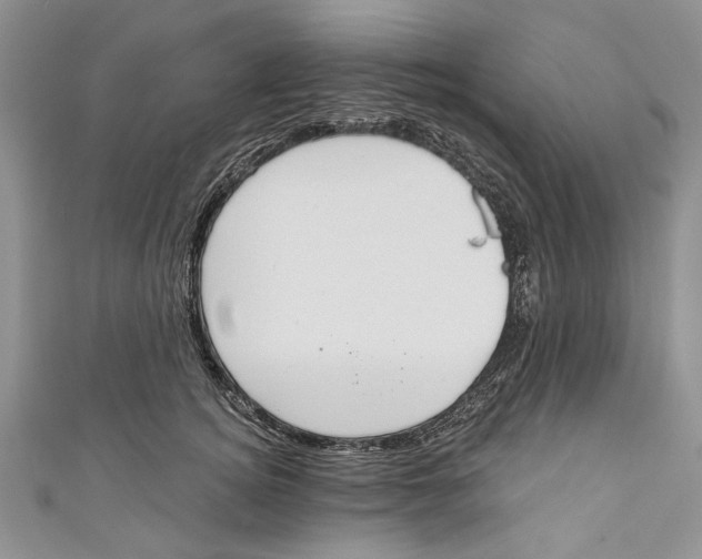 X0000111040756200907161344