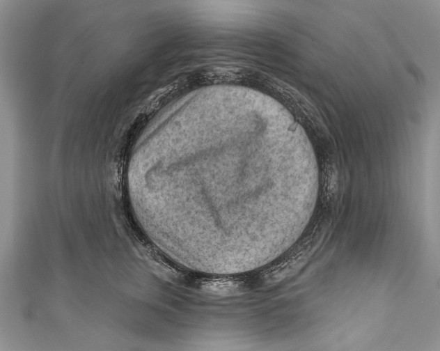 X0000111040759200907161344