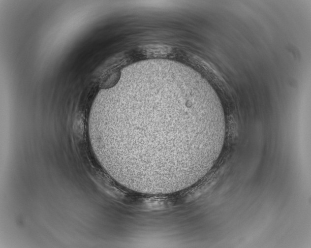 X0000111040761200907161344